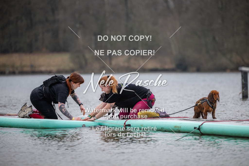 nelerasche_Hulsbeek_Sa1515-1600_123 | nelerasche