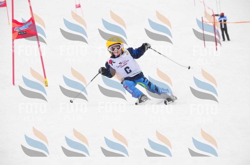 C0504 | holidayphoto