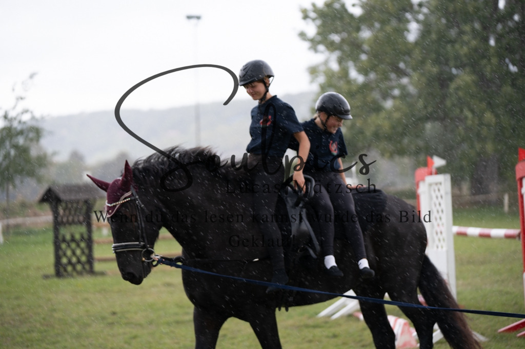 A7V07241 | Pferdefotograf