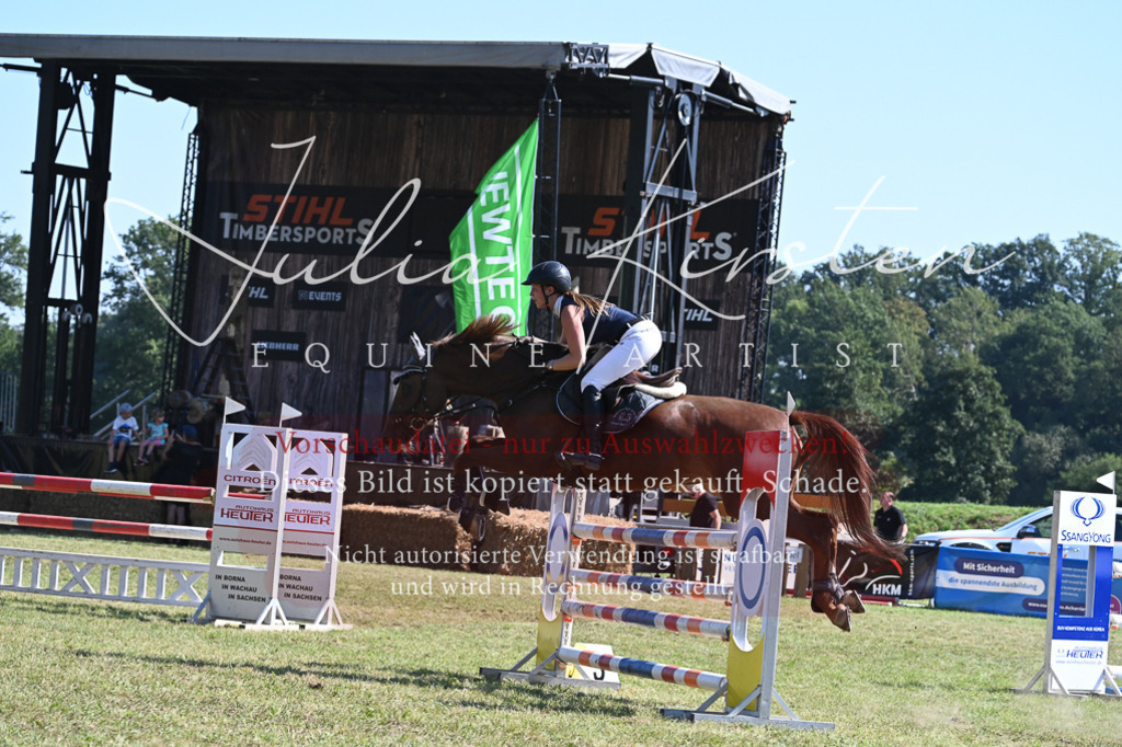 DSC_6459 | Pferde- und Turnierfotografie in Westsachsen. Pferdeportraits, Auftragszeichnungen und intuitive Kunst.