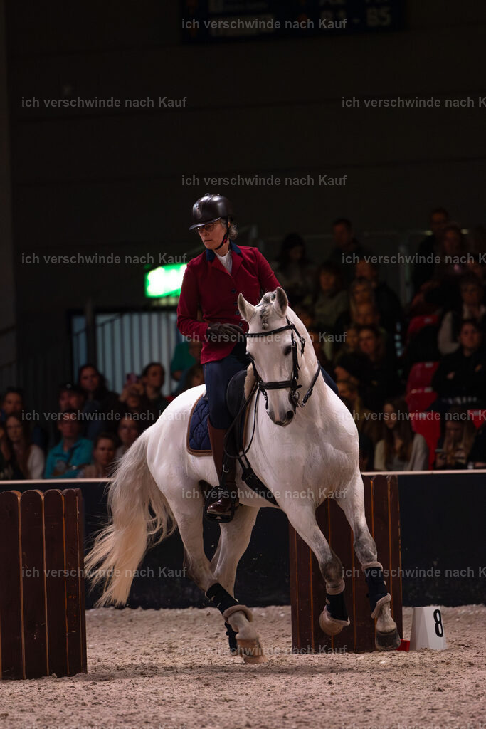 JoseraCup-105 | working equitationturnier fotograf videograf stoibphotography marixx film working equitation deutschland reitsport turnierfotografie eventfotografie equestrian events