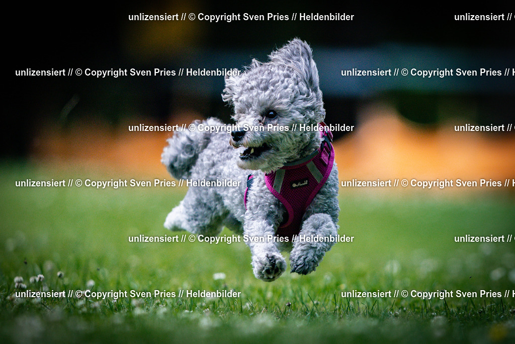Sven Pries | 2025-05-29 - Pudelrennen KA-Durlach - Realisiert mit Pictrs.com