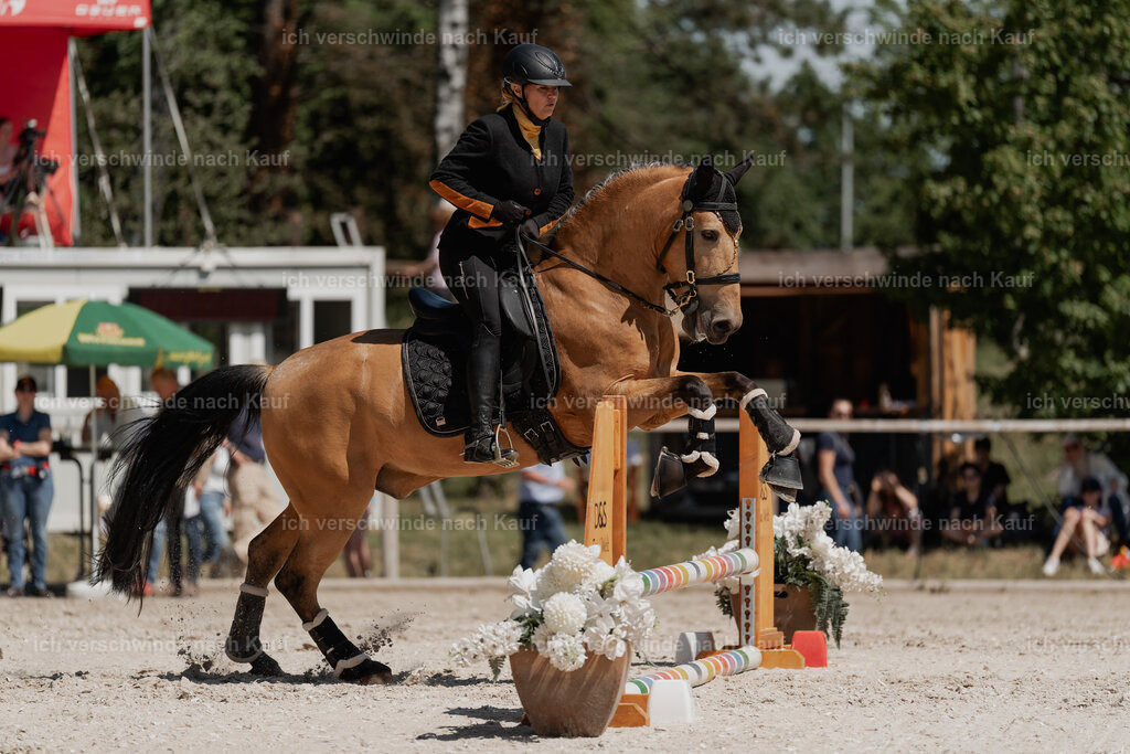 WE_SP_Stoib_319_PI2025_1742 | Pferd International München 2025
