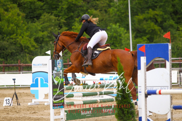 DKP41985 | Turniersportfotografie; Pferdefotografie; Dressurfotografie