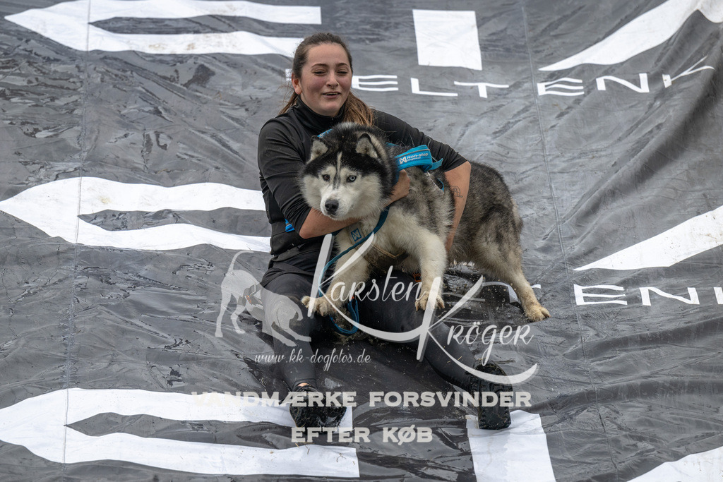 1558_ZZ91744 | kk-dogfotos