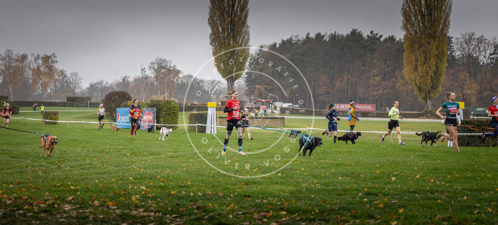 CaniXpix_DV3A8862 | Hundefotografie, Tierfotograf, Pfotenfotografie, Fotoshooting Hund, Hunde Portrait, Hundesport, Hundeportraits, Heideshooting, Hunde, Sportfotograf, Hundefotograf, Turnierhundsport, THS,  - Realisiert mit Pictrs.com