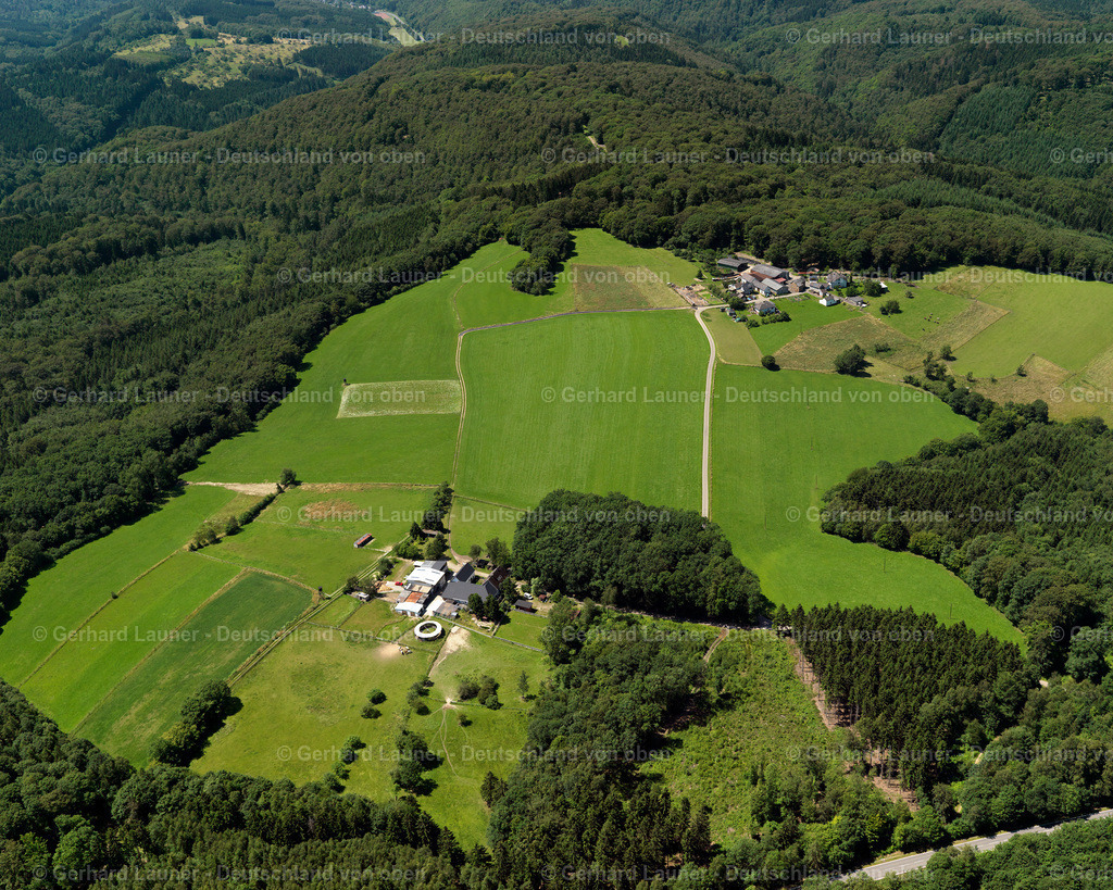 3120336 | Reidenbruch