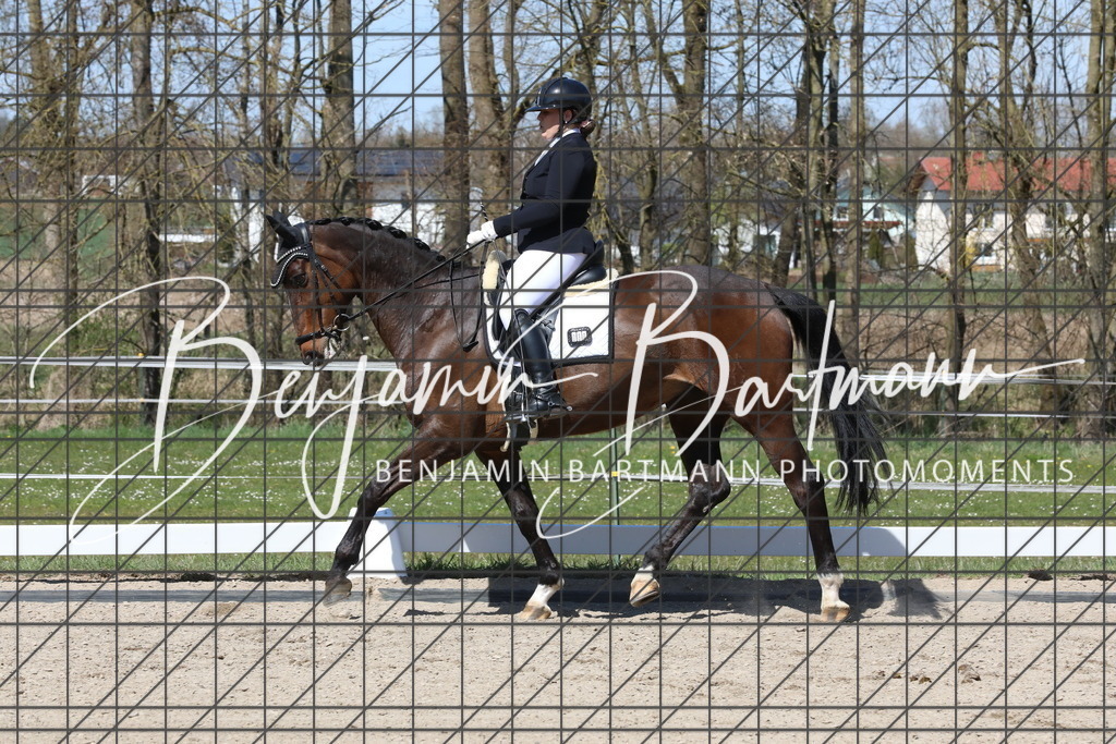 AZ2A4329 | Benjamin Bartmann Photomoments