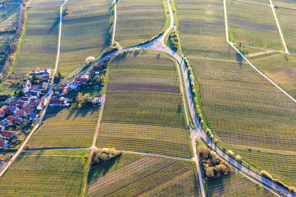 Luftbild: Weinstraße mit blühenden Mandelbäumen am Ortseingang im Ortsteil Arzheim in Landau im Bundesland Rheinland-Pfalz in Deutschland. Foto: IMG_63142.jpg vom 20.03.2014 durch Werner Riehm/FLY-FOTO.de