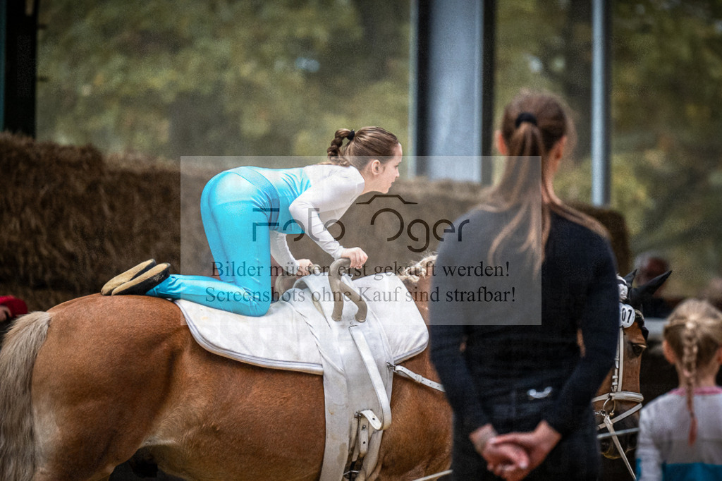 DOS_0097 | Entdecke hochwertige Reitturnierfotos von Foto Oger. Professionell, emotional und authentisch – jetzt Lieblingsmomente im Shop bestellen.Deutschlandweite Turnierfotografie. - Realisiert mit Pictrs.com