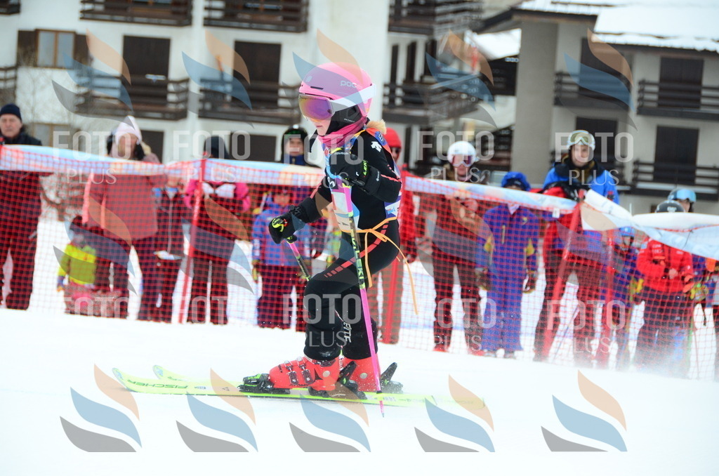 DSC_0714 | holidayphoto