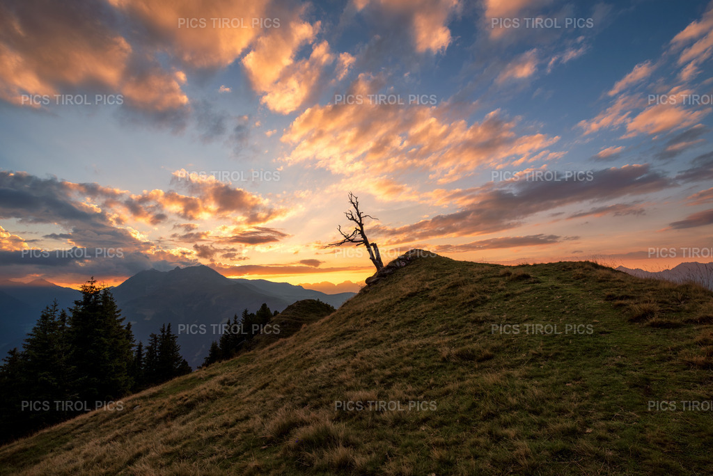 DSC_0589-Verbessert-RR-Bearbeitet | Tirolpics