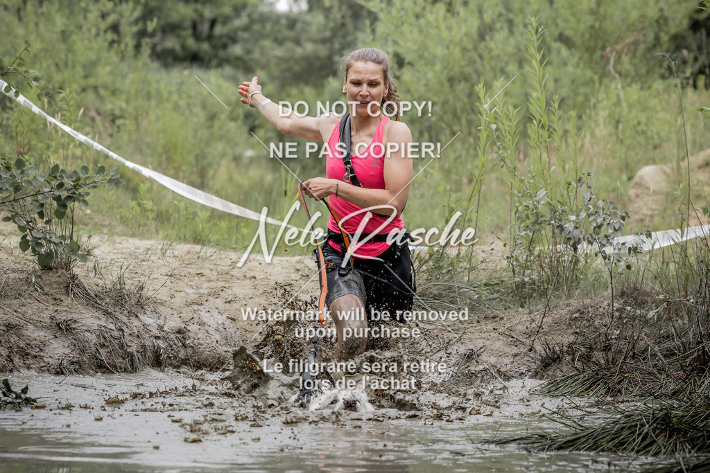 nelerasche_1400-1445_126 | nelerasche