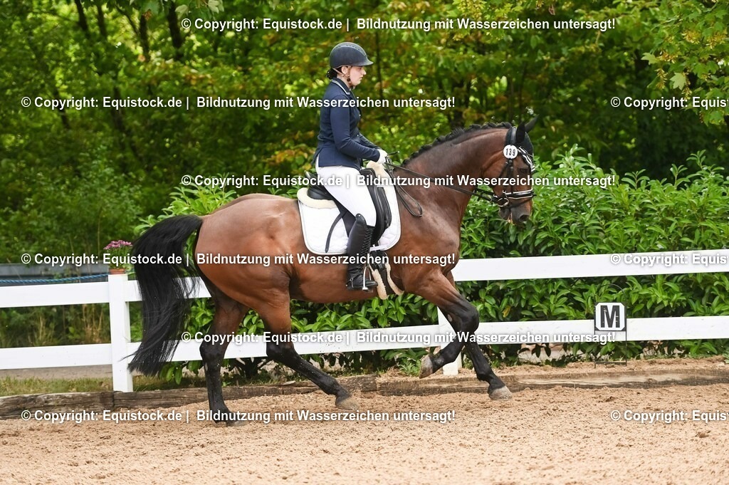 20230716_04_Dressurreiterprüfung Kl.A_0282 | equistock
