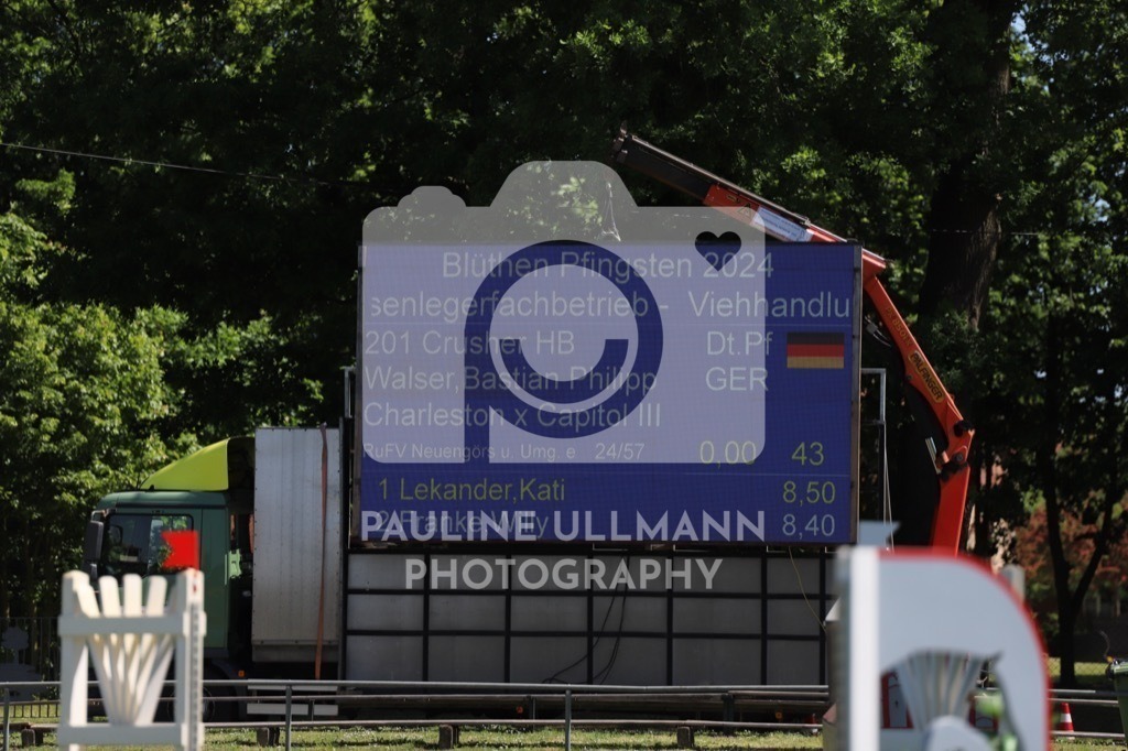 IMG_6180 | Pauline Ullmann Photography - Realisiert mit Pictrs.com