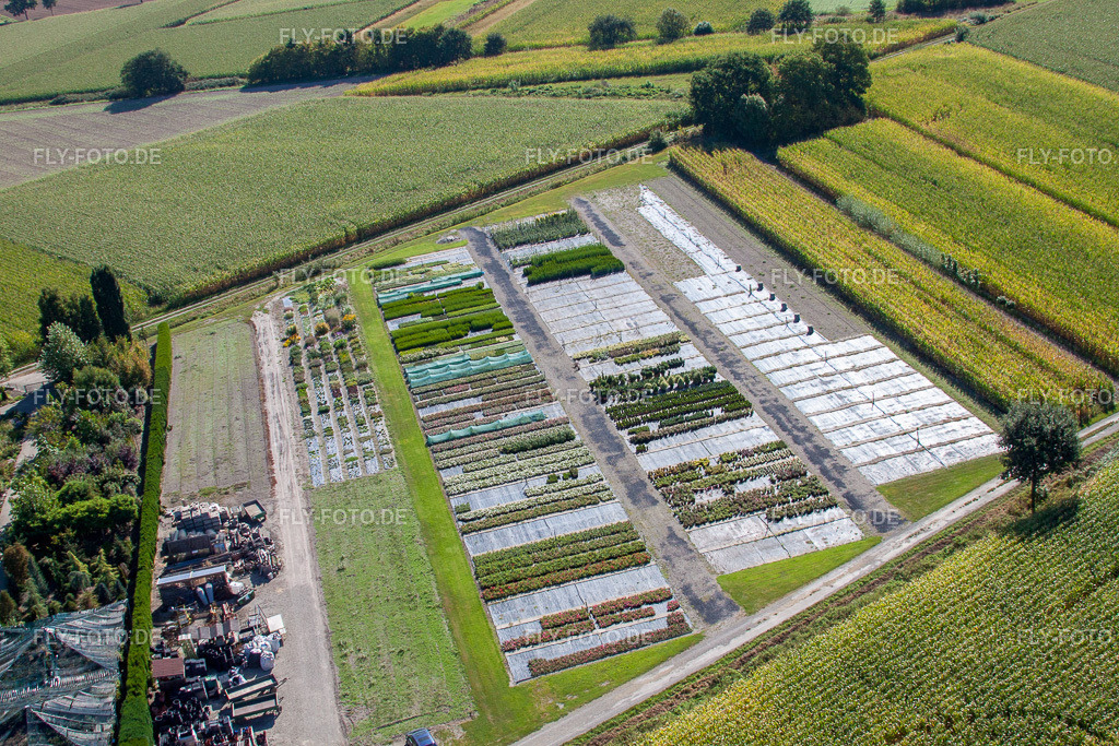 Gartenzeiten  Schwarz https://gartenzeiten-schwarz.de/ | Luftbild: Gartenzeiten  Schwarz https://gartenzeiten-schwarz.de/ im Ortsteil Bodersweier in Kehl im Bundesland Baden-Württemberg in Deutschland. Foto: IMG_20652.jpg vom 31.08.2009 durch Werner Riehm/FLY-FOTO.de - Realisiert mit Pictrs.com