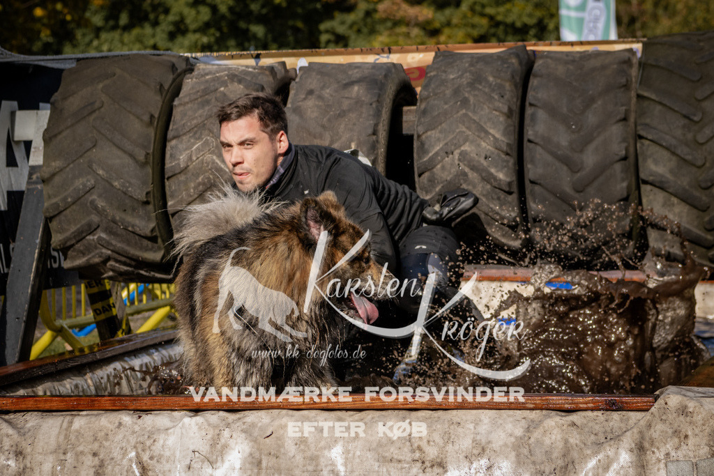 1350_ZZ93184 | kk-dogfotos