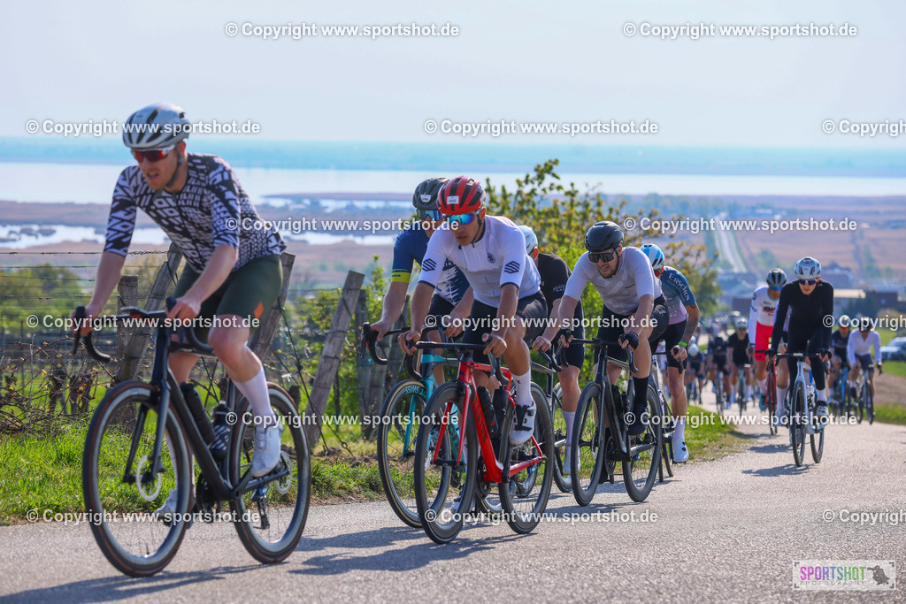 TRA_0092 | Neusiedlersee Radmarathon 2026@sportshot_your_pictrs #yourpictures#roadtowm2029 #nrm #neusiedlerseeradmarathon #neusiedlersee #neusiedlerseetourismus #burgenland #mörbisch #nrm26 #burgenlandtourismus #voglundco #poweredbyburgenlandtourismus #radsport #rad #marathon #ucigranfondo #visitburgenland #ucigranfondoworldseries
