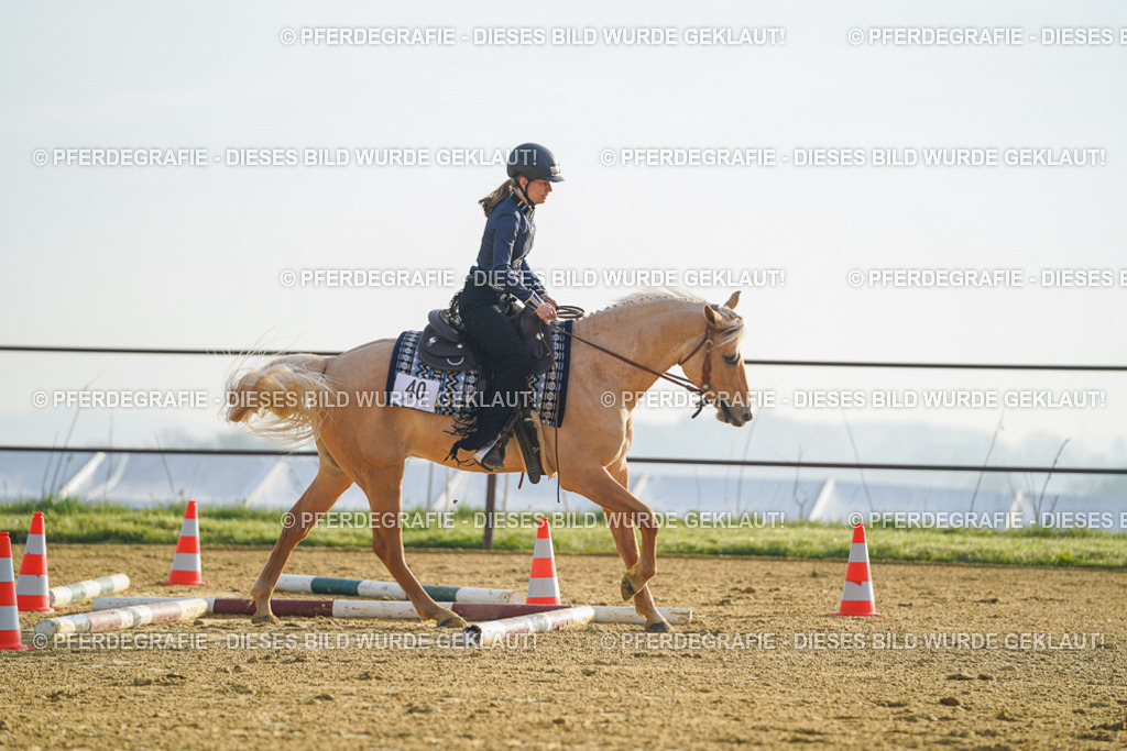 DSC09969 | Pferdegrafie