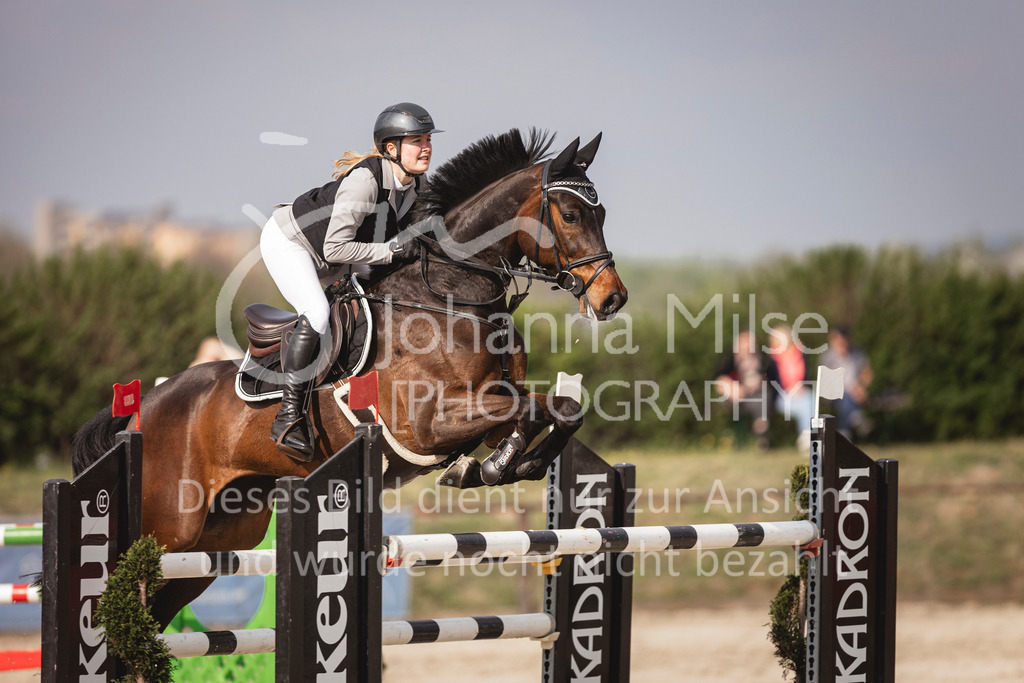 250416_M2-Springen-463 | Deine schönsten Turniermomente als professionelle Fotos! Entdecke hochwertige Pferdesport-Fotografie im Online-Shop. Jetzt Fotos finden & bestellen!