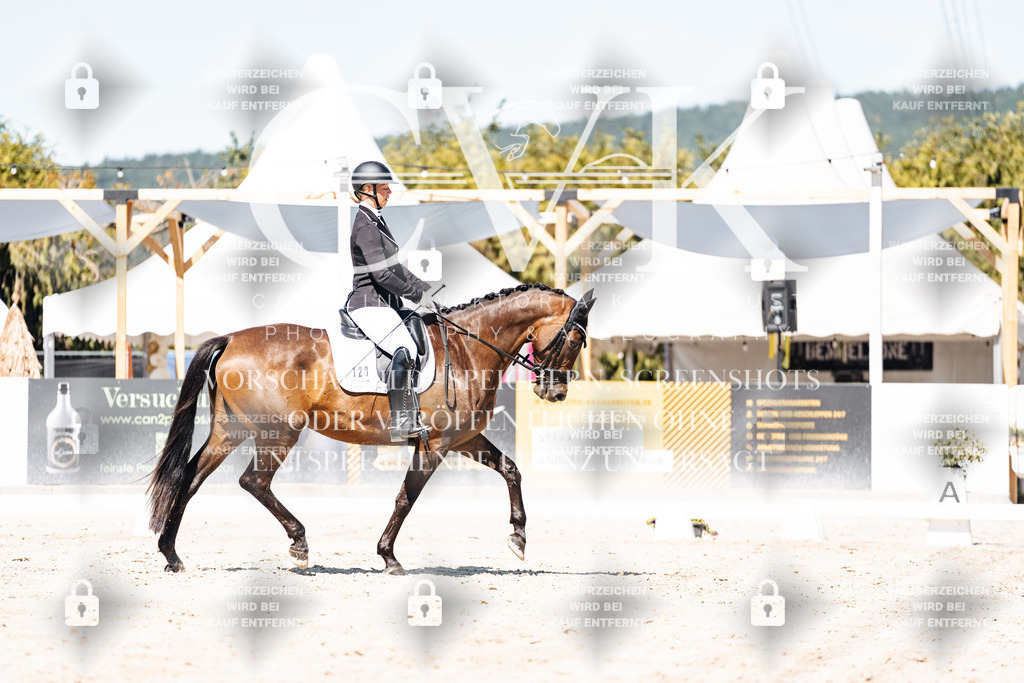 CK909830 | Turnierfotografie Pferdefotografie Trier Rheinland-Pfalz Pferdesport Reitsport Tierfotografie Sportfotografie Pferdevideo Pferdevideografie Equestrianvideography equestrianphotography  - Realisiert mit Pictrs.com