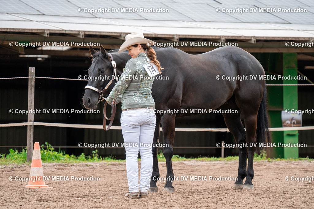 BA300171 | dv-media-shop - Realisiert mit Pictrs.com