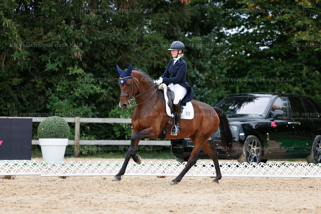 6-196-AMATUER-DRESSUR S_  -StoibPH-3522 | working equitationturnier fotograf videograf stoibphotography marixx film working equitation deutschland reitsport turnierfotografie eventfotografie equestrian events