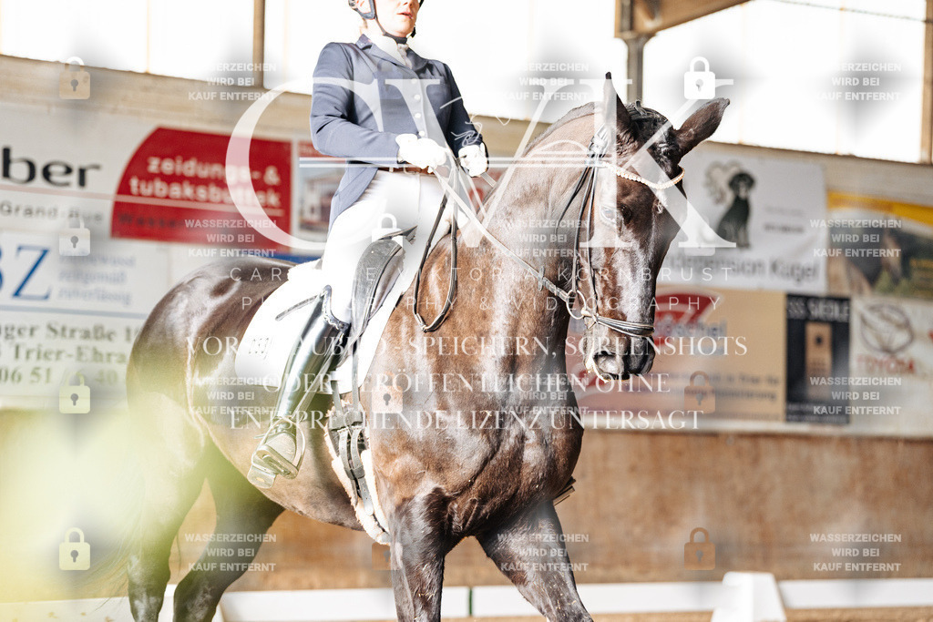 CK902210 | Turnierfotografie Pferdefotografie Trier Rheinland-Pfalz Pferdesport Reitsport Tierfotografie Sportfotografie Pferdevideo Pferdevideografie Equestrianvideography equestrianphotography  - Realisiert mit Pictrs.com