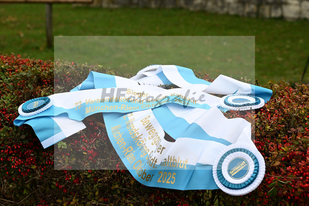 Impressionen_Siegerschaerpen_39250980 | hf-fotografie - Realizzato con Pictrs.com