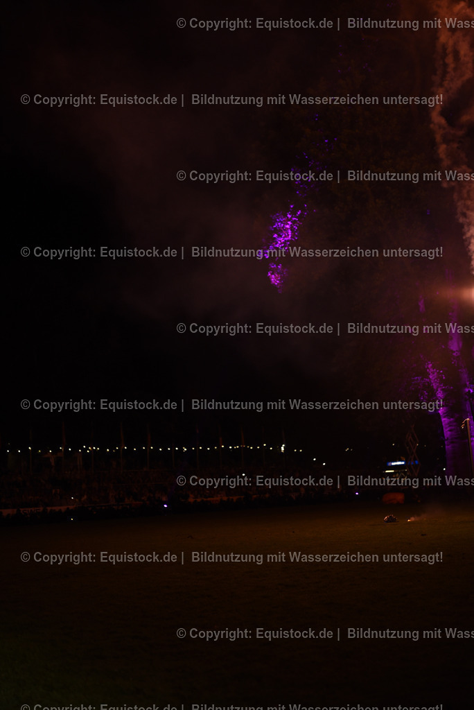 20230526_Pferdenacht_1606 | equistock