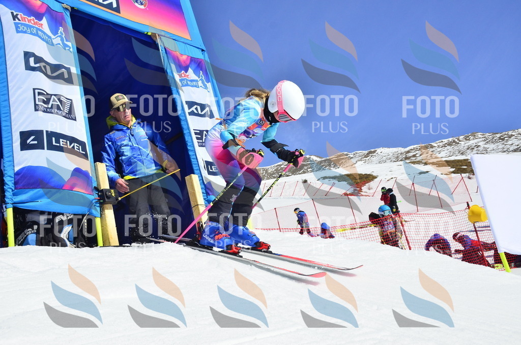 _ELE0352 | holidayphoto