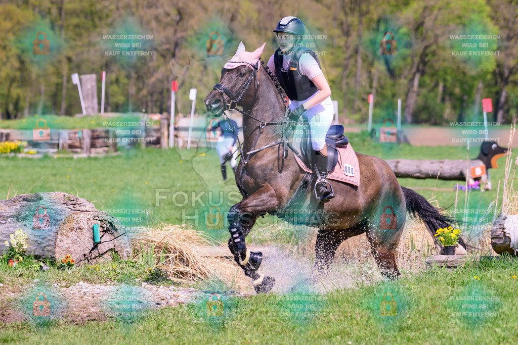 18042026-Gernlinden-01-1-0625 | Fokus Hufschlag Fotografie - Realisiert mit Pictrs.com