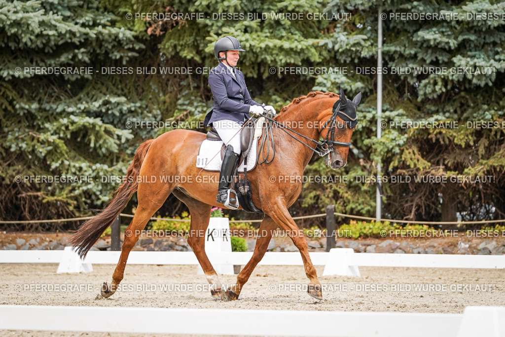 DSC05055 | Pferdegrafie