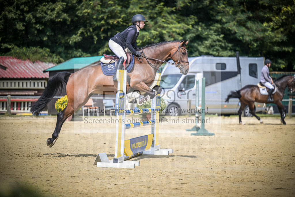 DOS_6361 | Entdecke hochwertige Reitturnierfotos von Foto Oger. Professionell, emotional und authentisch – jetzt Lieblingsmomente im Shop bestellen.Deutschlandweite Turnierfotografie. - Realisiert mit Pictrs.com