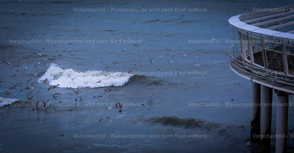 DSC00453 | marcuslinek