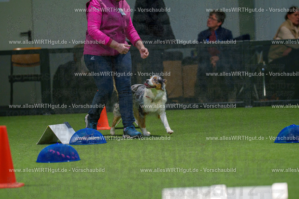 7R504100 | Professionelle Tierfotografie in Mönchengladbach von Daniel Wirth (allesWIRTHgut). Liebevolle & natürliche Bilder von Hunden & Katzen für unvergessliche Erinnerungen.