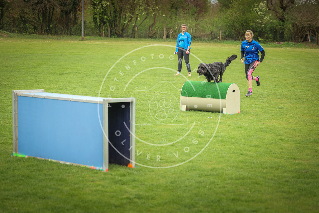 Pfotenfotografie_0L8A9866 | Hundefotografie, Tierfotograf, Pfotenfotografie, Fotoshooting Hund, Hunde Portrait, Hundesport, Hundeportraits, Heideshooting, Hunde, Sportfotograf, Hundefotograf, Turnierhundsport, THS,  - Realisiert mit Pictrs.com