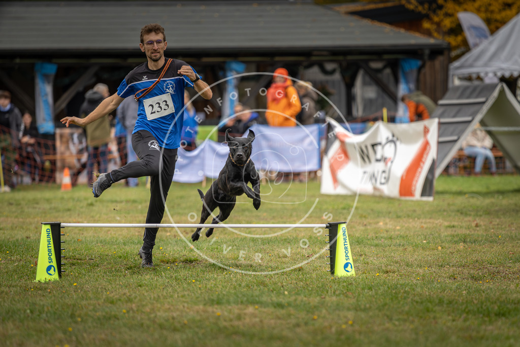 Pfotenfotografie_DV3A4831 | Hundefotografie, Tierfotograf, Pfotenfotografie, Fotoshooting Hund, Hunde Portrait, Hundesport, Hundeportraits, Heideshooting, Hunde, Sportfotograf, Hundefotograf, Turnierhundsport, THS,  - Realisiert mit Pictrs.com