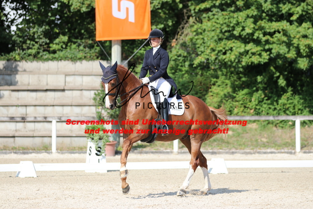 IMG_9343 | lmwpictures - Realisiert mit Pictrs.com