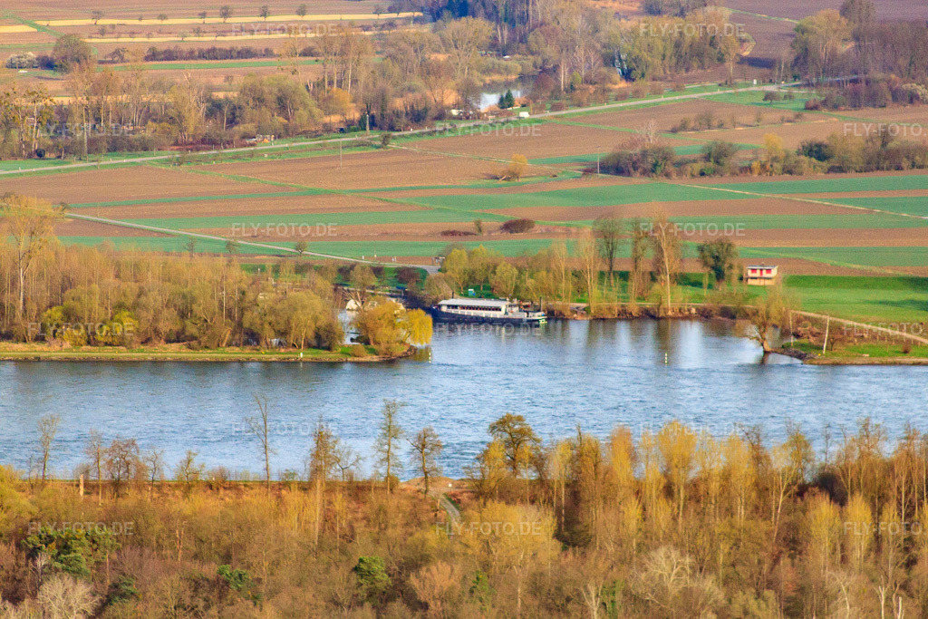 Luftbild: Lautermündung in Neuburg am Rhein im Bundesland Rheinland-Pfalz in Deutschland. Foto: IMG_25506.jpg vom 02.04.2010 durch Werner Riehm/FLY-FOTO.de