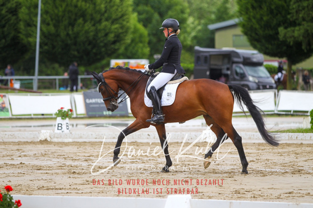 DKP40626 | Turniersportfotografie; Pferdefotografie; Dressurfotografie