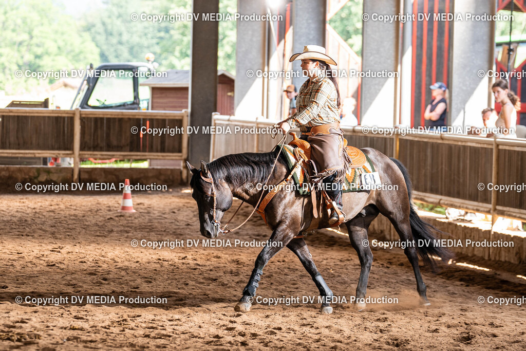 Erbach Tag 1-1009 | dv-media-shop - Realisiert mit Pictrs.com