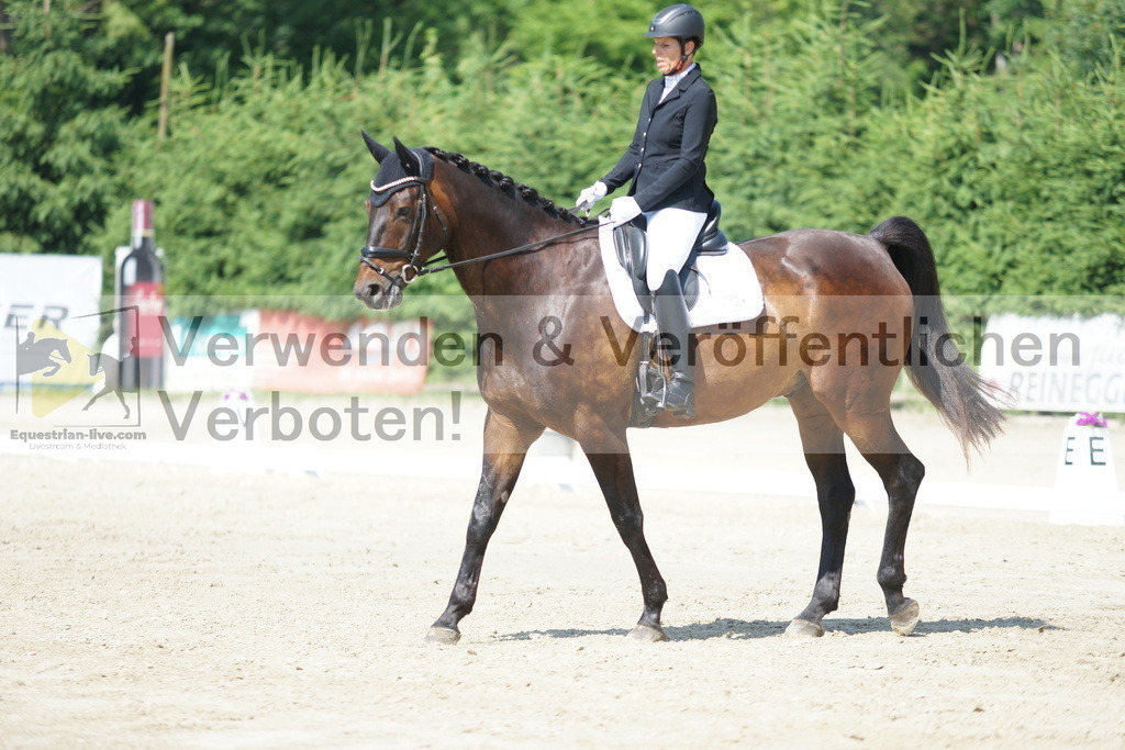 DSC01561 | equestrian-live-com
