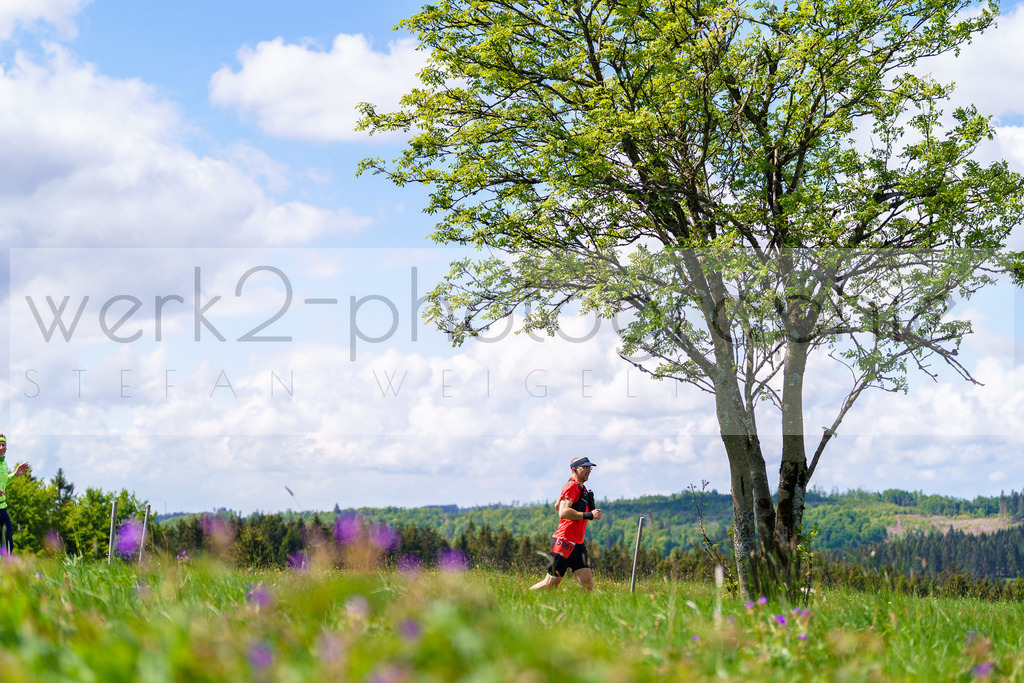 Rennsteiglauf Marathon 2025 | Marathon von Neuhaus/Rwg. nach Schmiedefeld/Rstg. am 17. Mai 2025