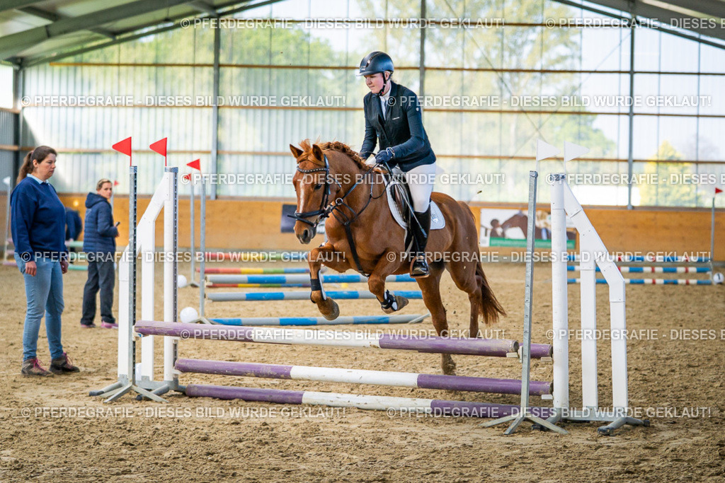 DSC01047 | Pferdegrafie