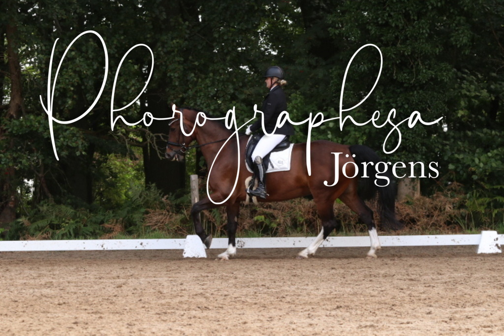 IMG_0253 | photographesa-joergens - Realisiert mit Pictrs.com