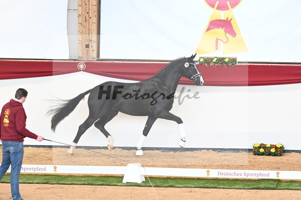 Kat.-Nr. 70 v. Totilas_Fischer_2241047 | hf-fotografie - Realisiert mit Pictrs.com