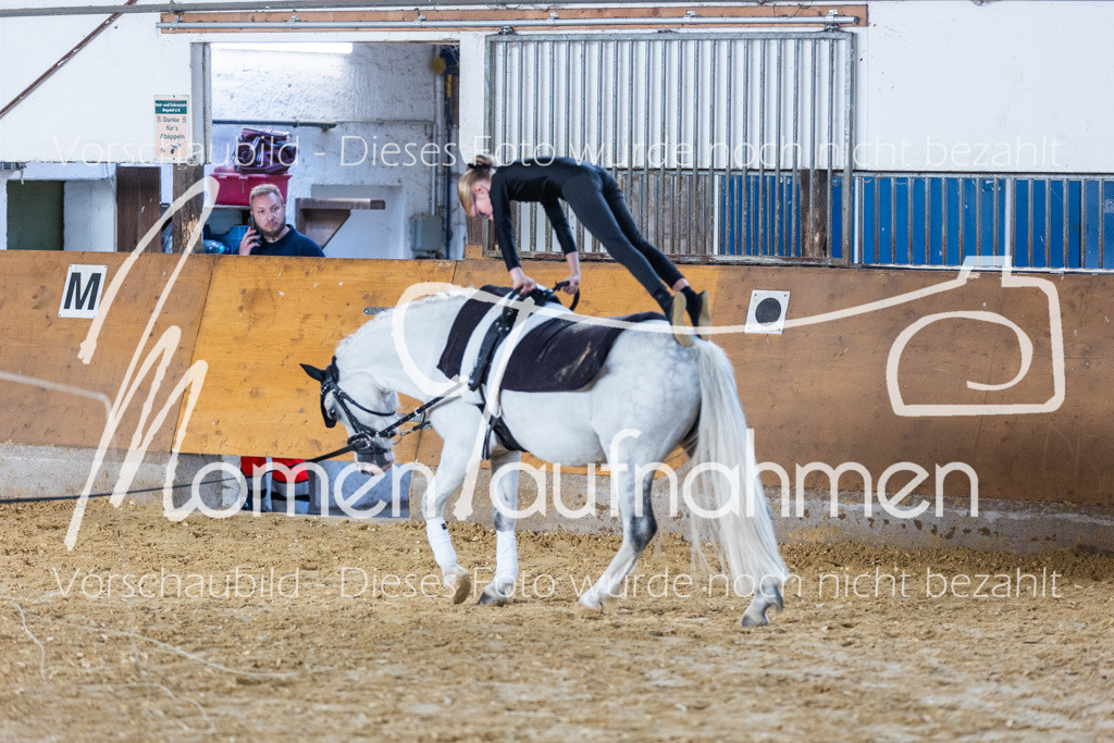 SS-Mini-275 | MomenTaufnahmen Pferdesportfotos