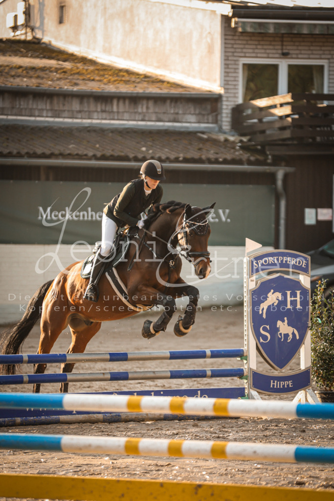 10.SaSpE00113 | Leoni Ertmer Photography - Realisiert mit Pictrs.com