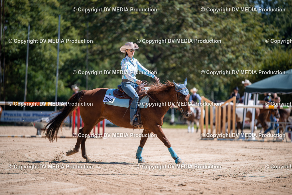 ZS1_1003 | dv-media-shop - Realisiert mit Pictrs.com